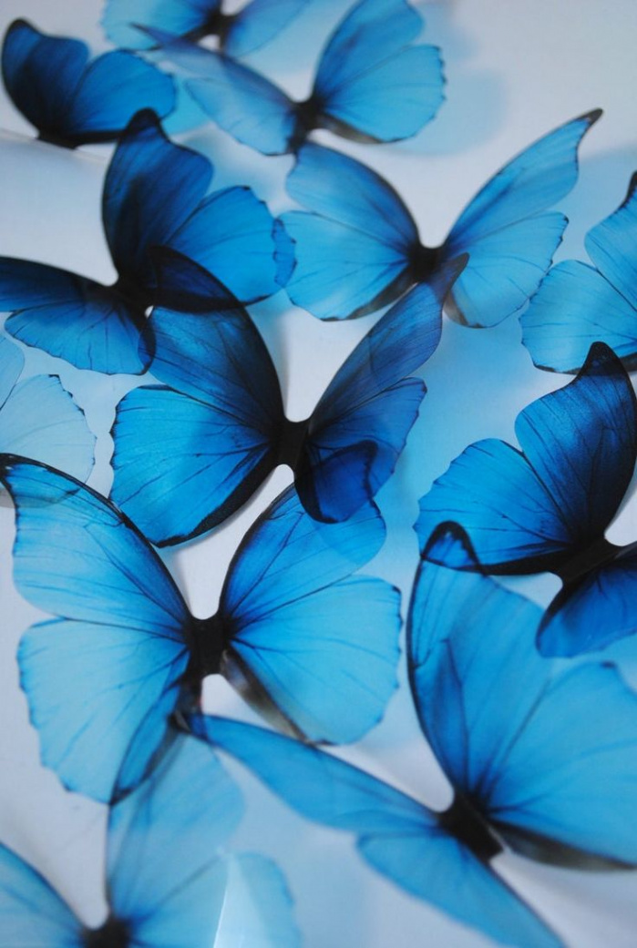 Blue Rainbow Butterflies D Plastic Butterflies Ombre Blue - Etsy