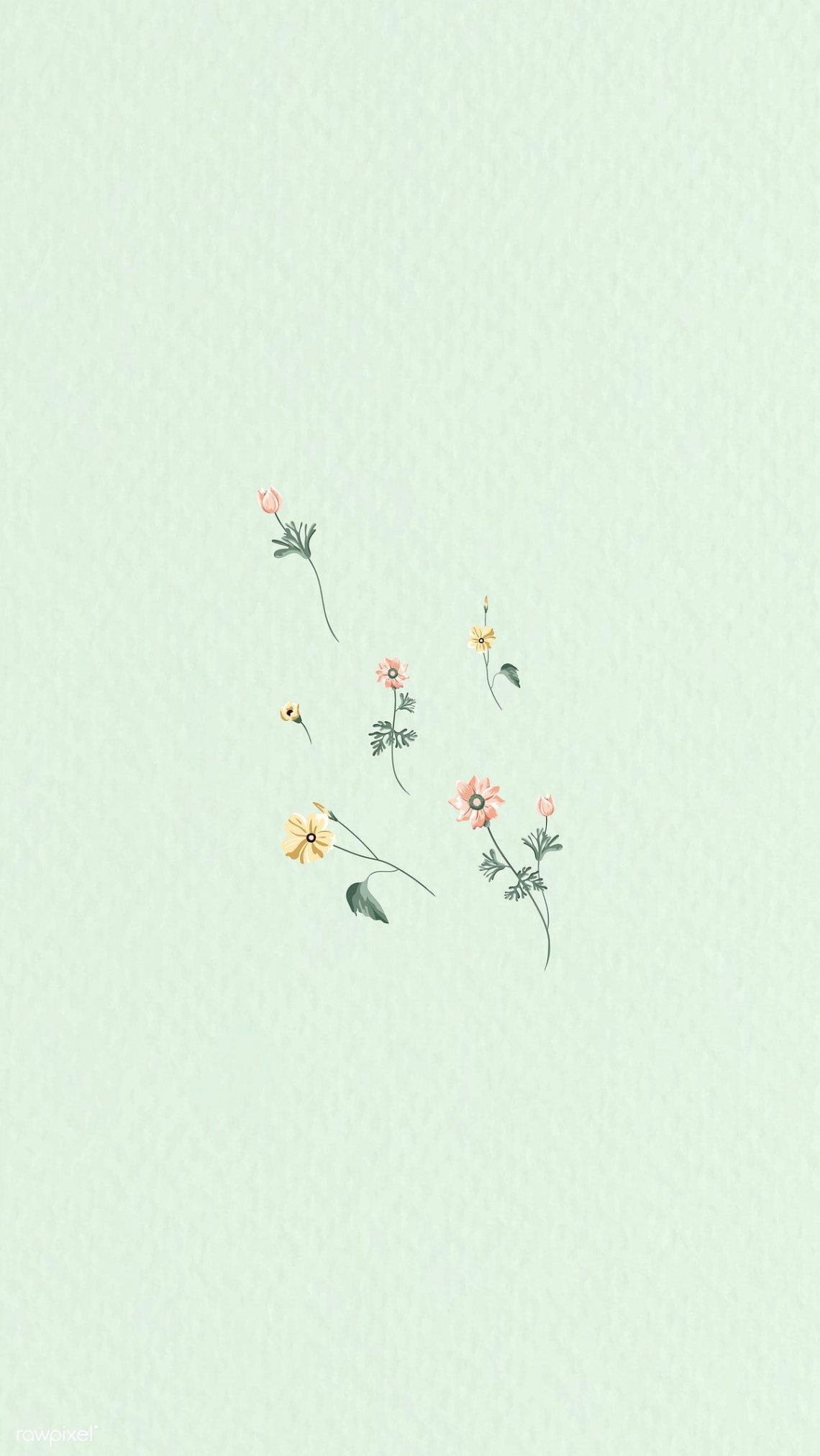 Colorful flowers on a green background vector  premium image by