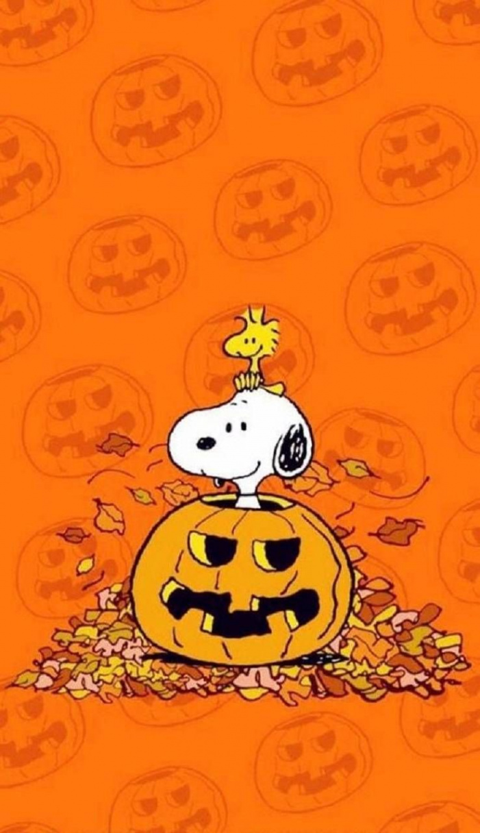 Download Snoopy Halloween Wallpaper by zakum - c - Free on