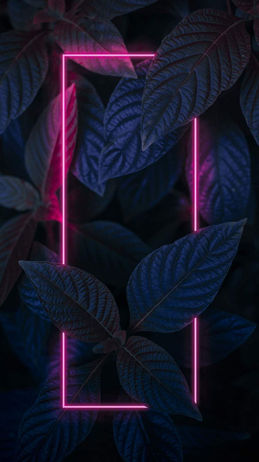 iPhone Wallpapers for iPhone , iPhone , iPhone X, iPhone XR