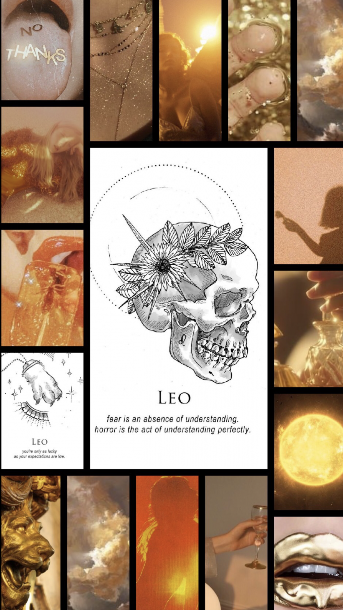 Leo aesthetic wallpaper  Zodiac leo art, Star sign art, Zodiac art