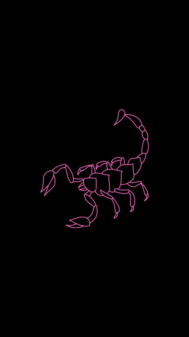 Pink scorpion on black background iphone wallpaper  Scorpio art