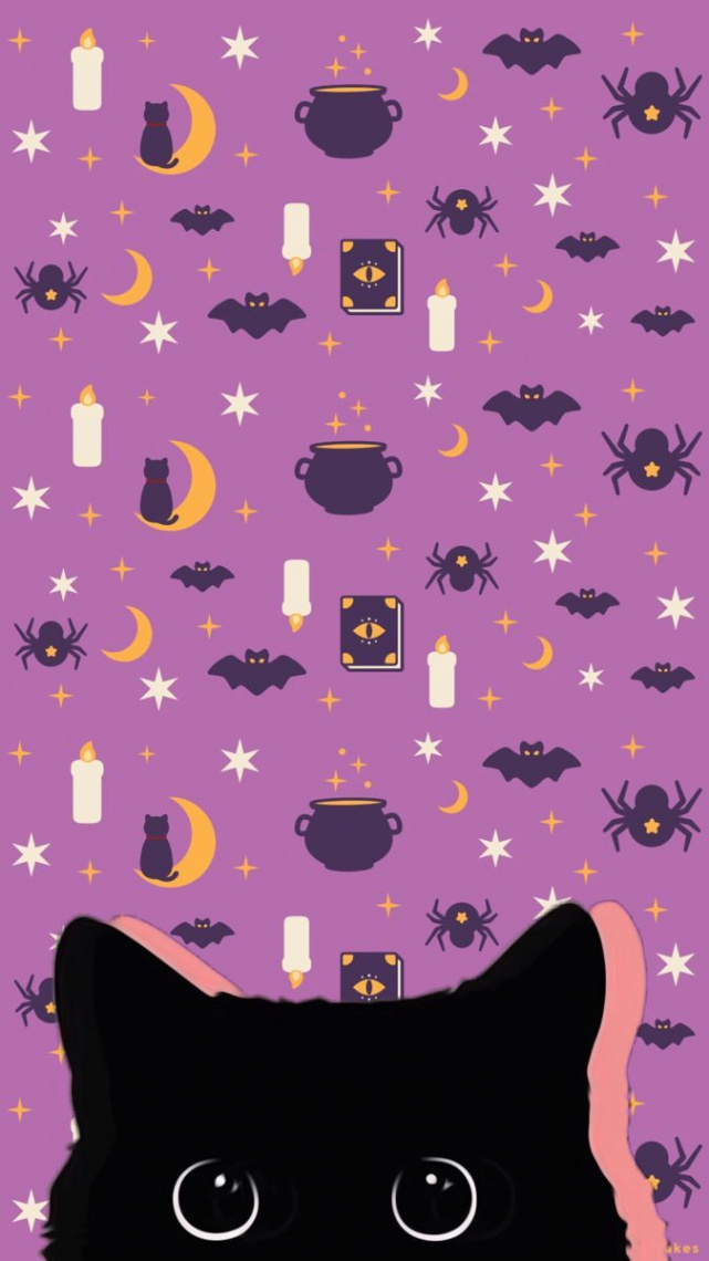 Wallpaper black cat Halloween 🎃 in   Halloween wallpaper