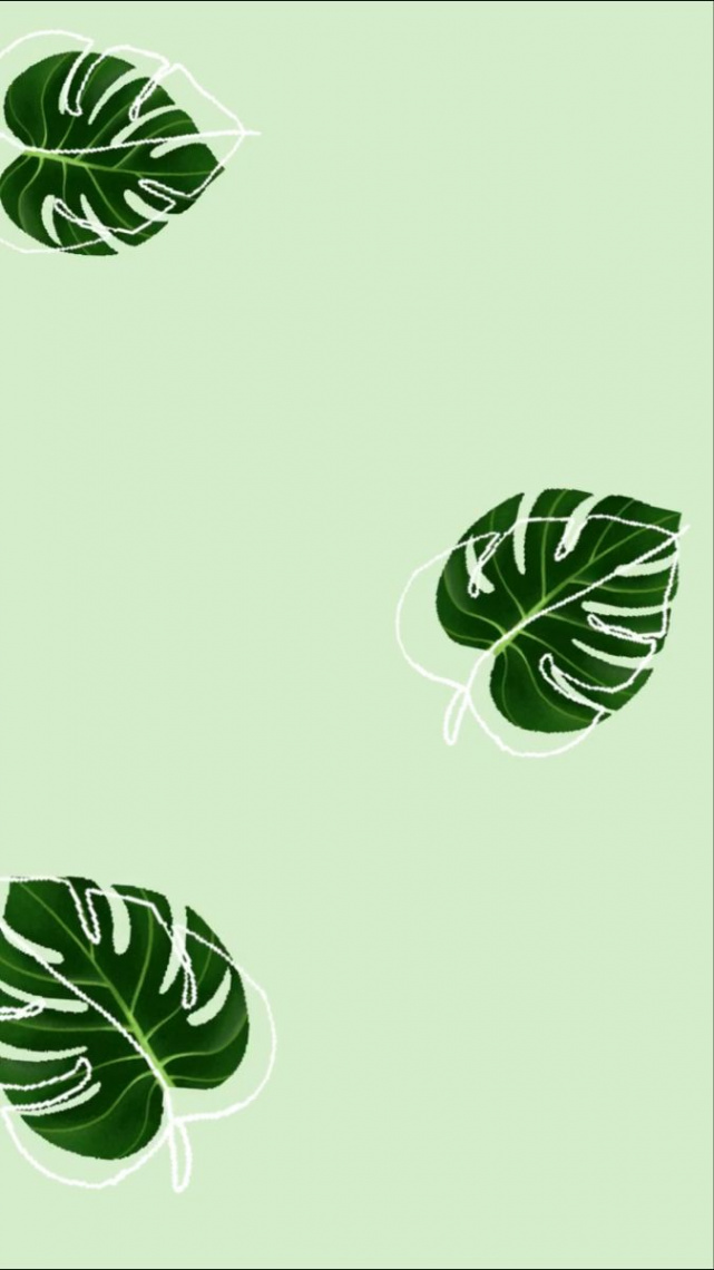 Wallpaper  Mint green wallpaper, Iphone wallpaper green, Leaves