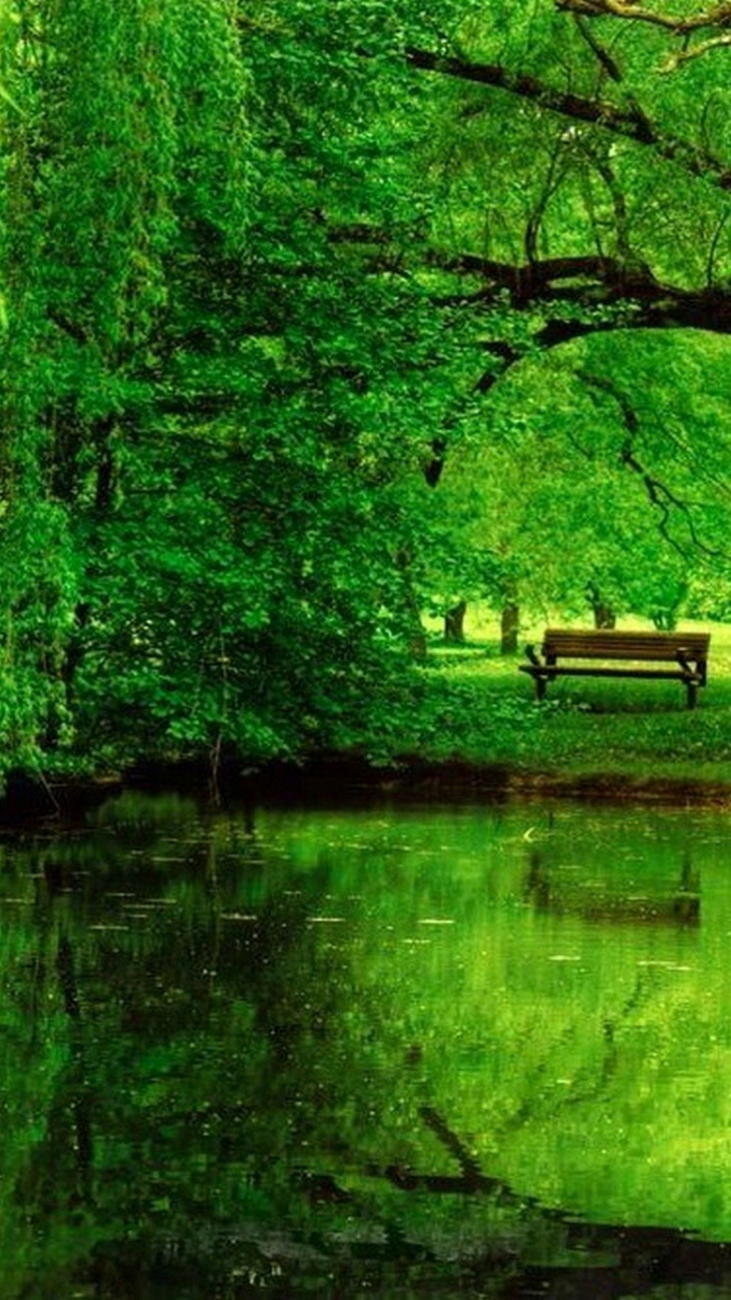 Wallpaper Nature Green Iphone With Image Resolution - Thought On