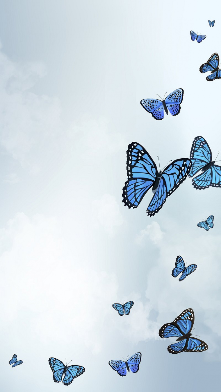 Butterfly Iphone Wallpaper Images  Free Photos, PNG Stickers