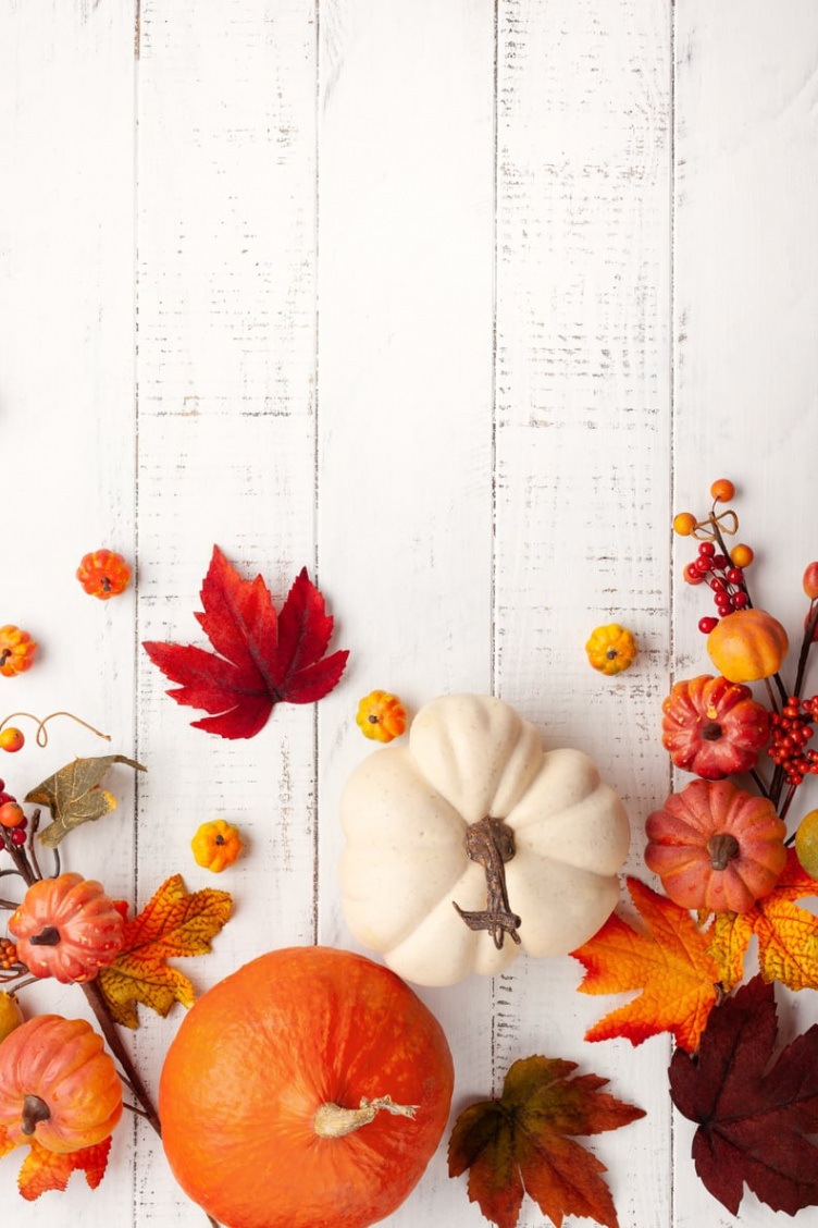 Fall iPhone Wallpapers  POPSUGAR Tech