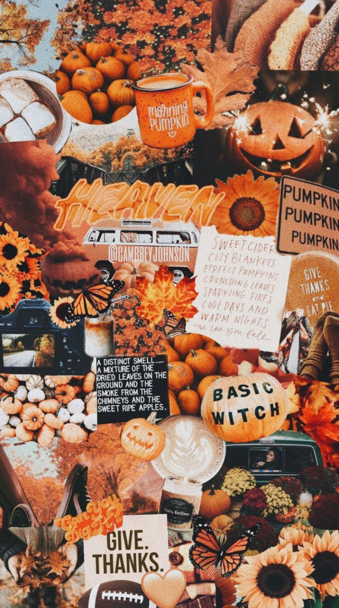 fall vibes  Iphone wallpaper fall, Cute fall wallpaper, Halloween