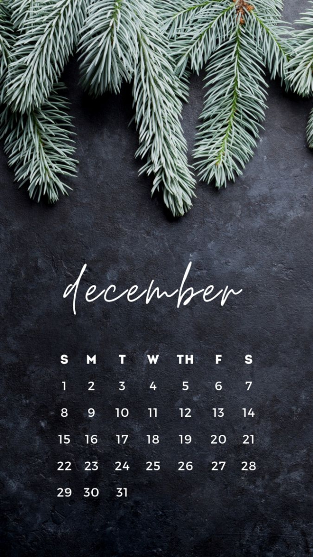 Free Christmas Wallpaper Ideas For Your iPhone - Steph Social