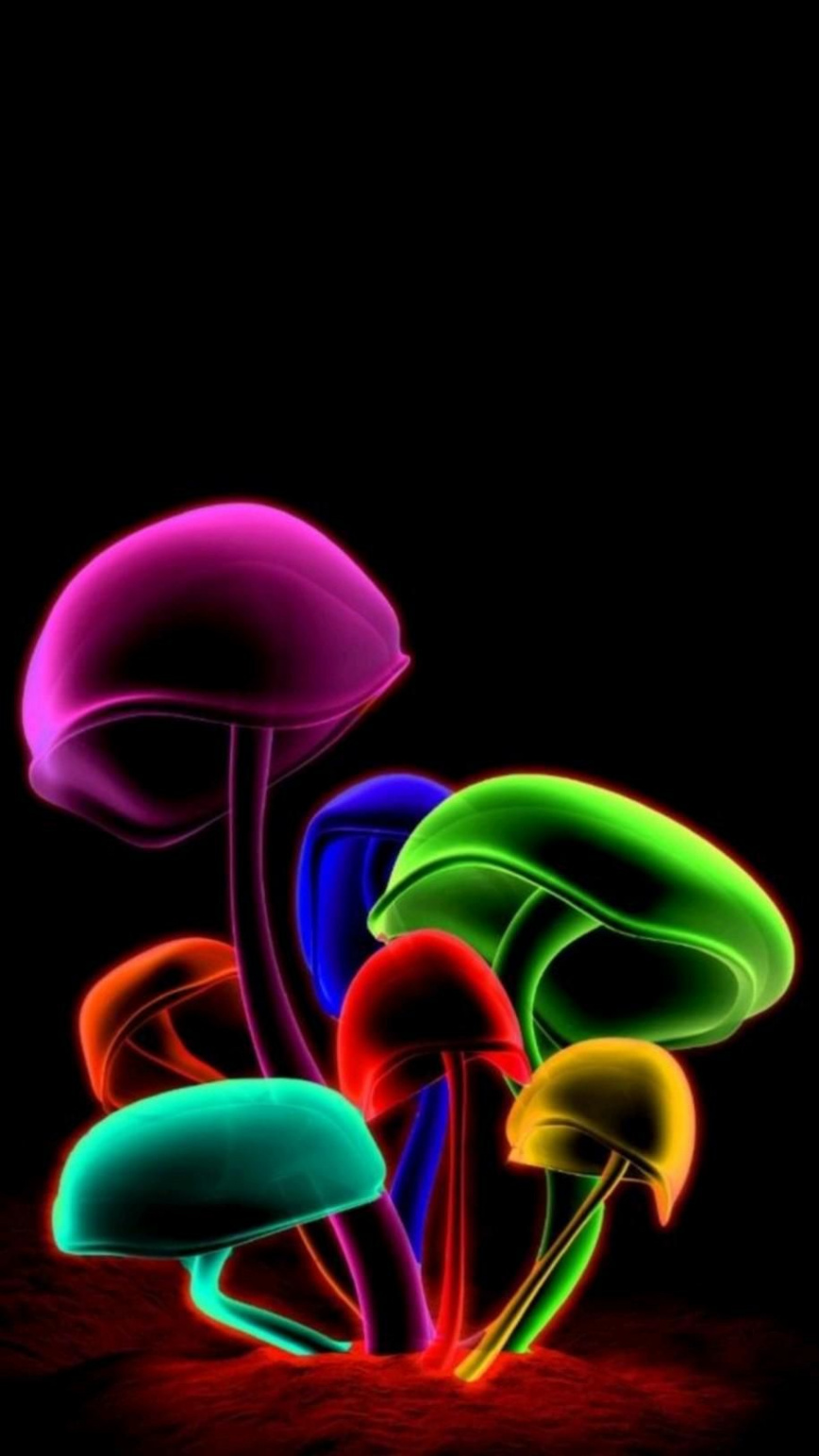 neon mushrooms in   Mushroom wallpaper, Samsung wallpaper, d