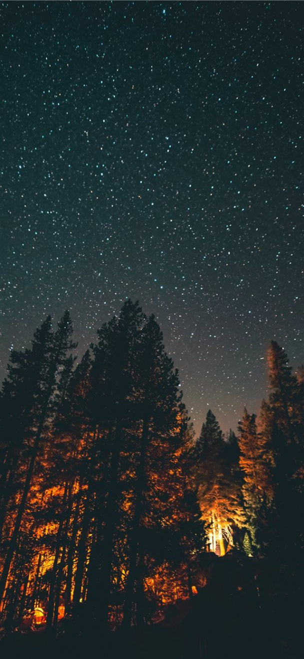 nightlight iPhone X wallpaper #night #sky #star #explore  Nature