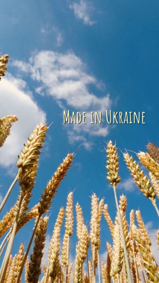 Visual Ukraine 🇺🇦  stories trend  Ukraine, Green nature