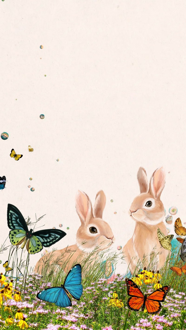 Wallpaper Rabbit Images  Free Photos, PNG Stickers, Wallpapers