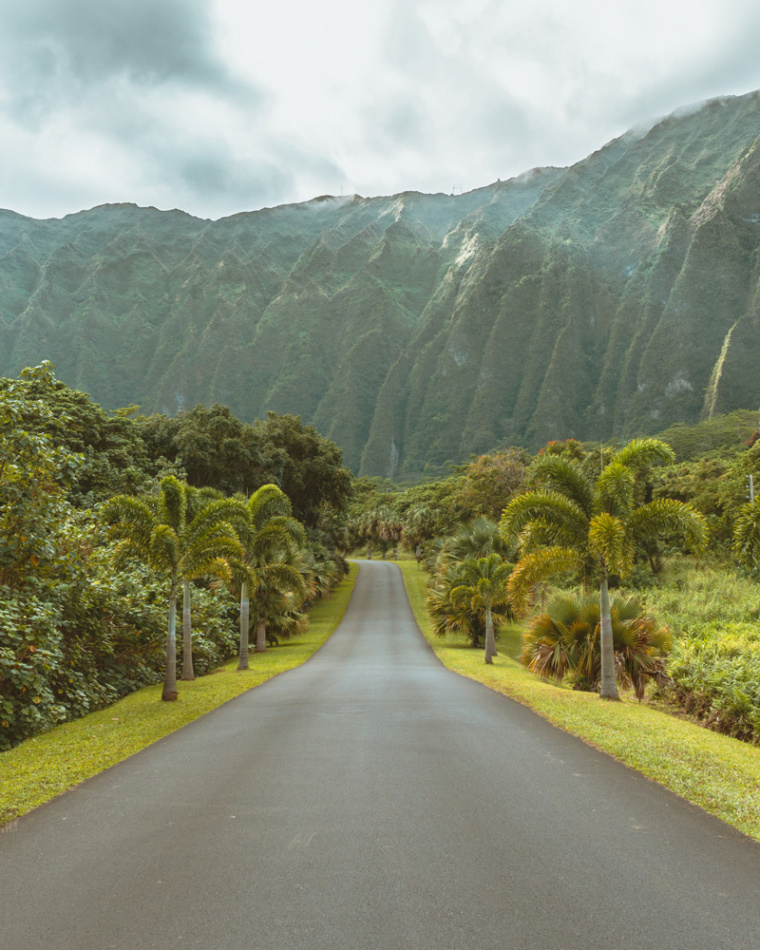 Zoom Backgrounds for Travellers – Air Canada enRoute