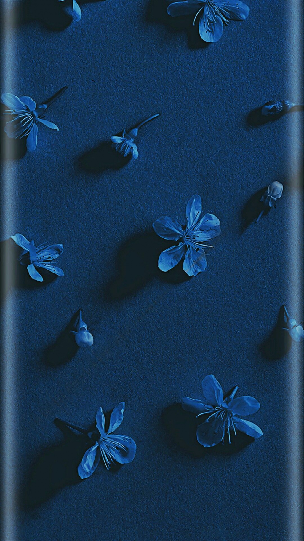 Blue flowers  Blue wallpaper iphone, Dark blue wallpaper, Flower