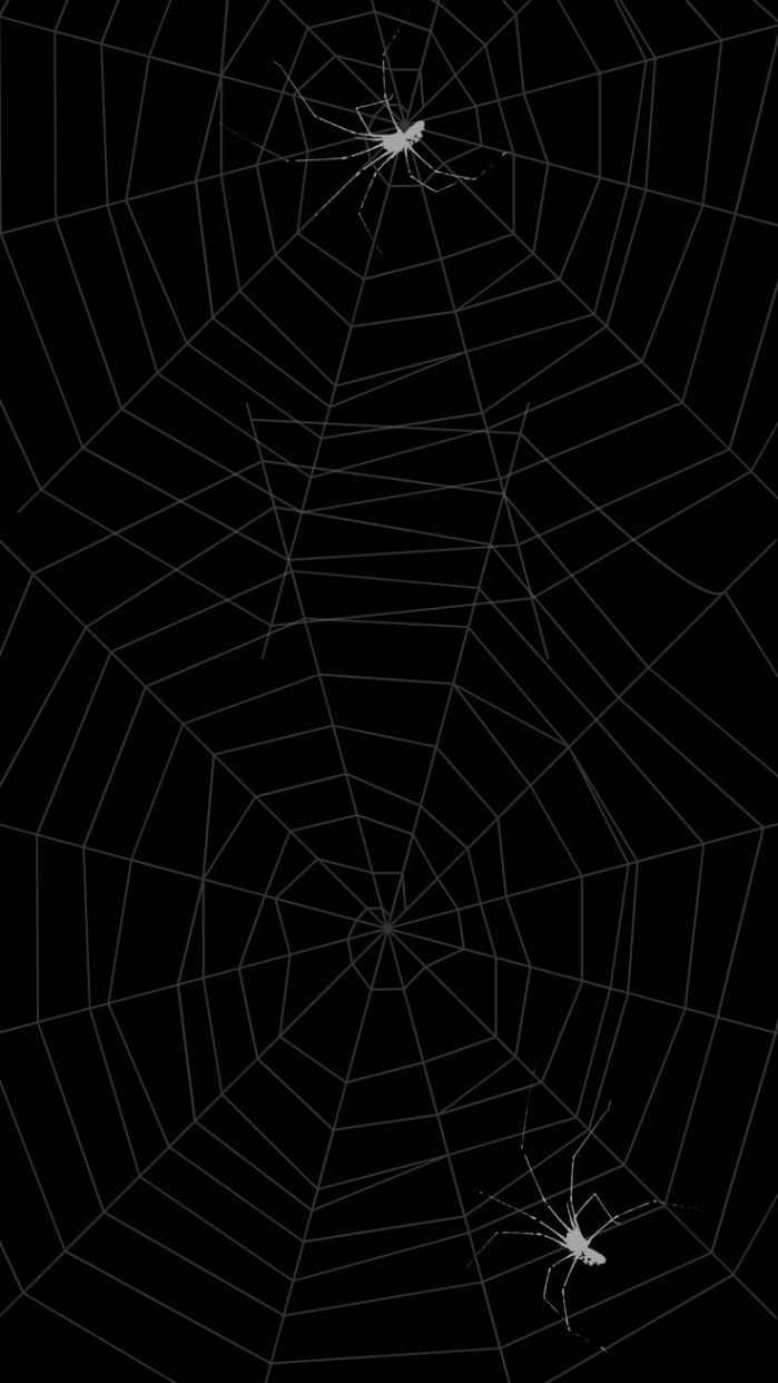 wallpaper #cobweb #spider  Halloween wallpaper iphone backgrounds