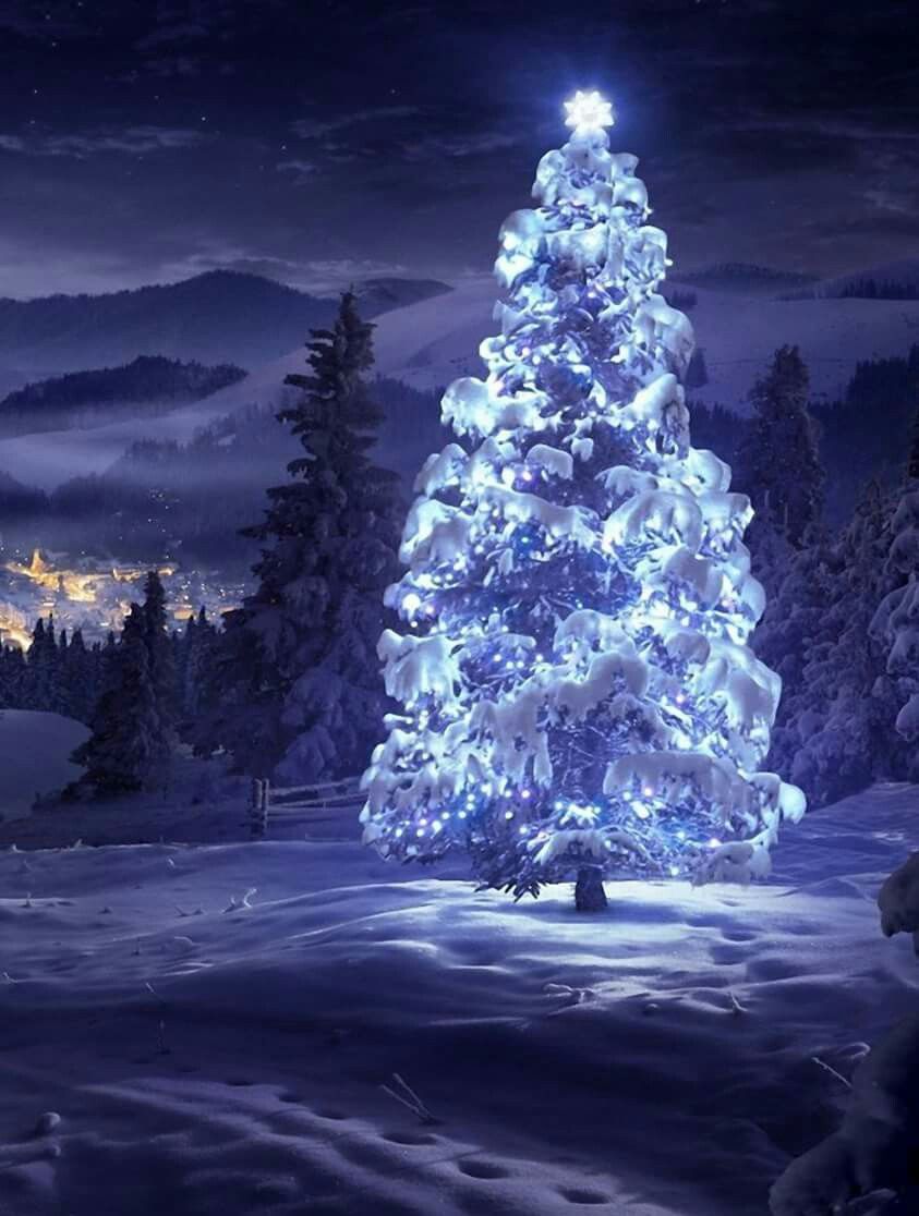 Christmas Tree Wallpaper Real