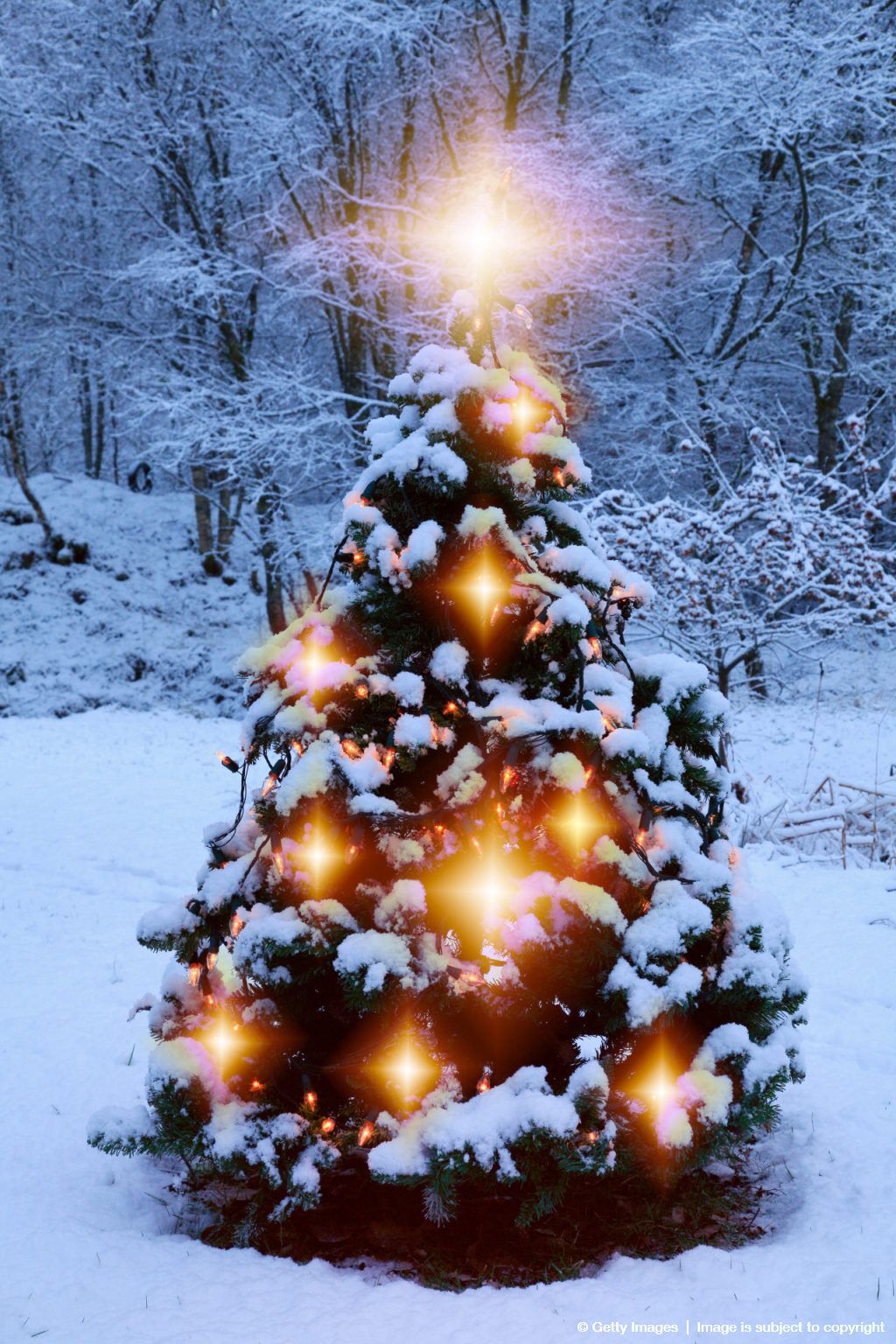 Christmas Tree Wallpaper Snow