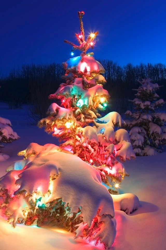 Christmas Wallpaper For Iphone