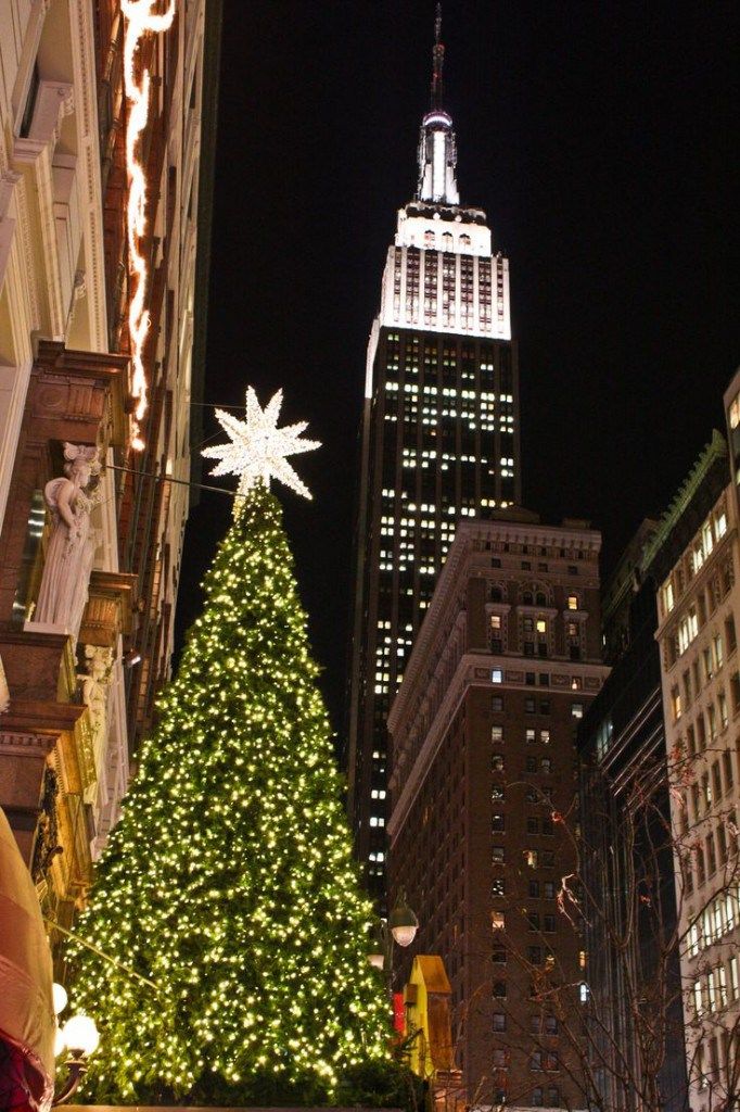 Ny Christmas Tree Wallpaper